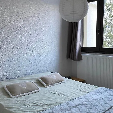 Appartamento Villard-de-lans, 3 Pièces, 6 Personnes - Fr-1-515-143 *